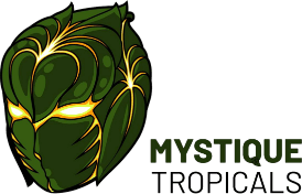 MYSTIQUE TROPICALS